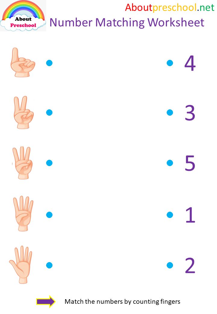 the number matching worksheet for children