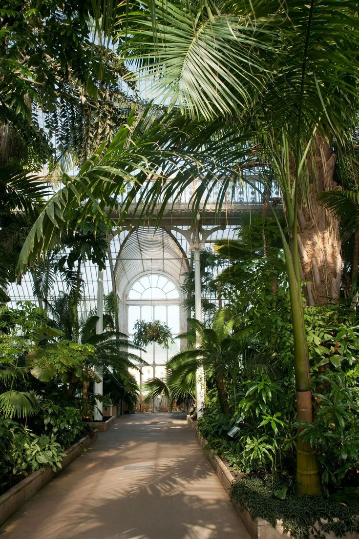 the inside of a large greenhouse with lots of trees and plants on either side of the walkway