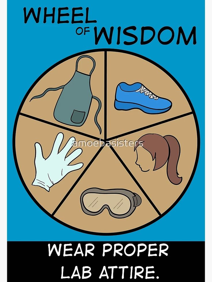 a poster with different items on it and the words wheel of wisdom written below