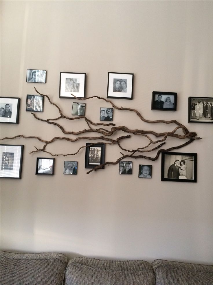 a tree branch is hanging on the wall with many pictures and frames attached to it