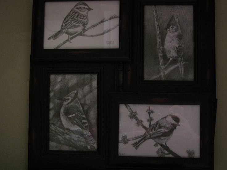 four framed pictures of birds are hanging on the wall next to each other in black and white