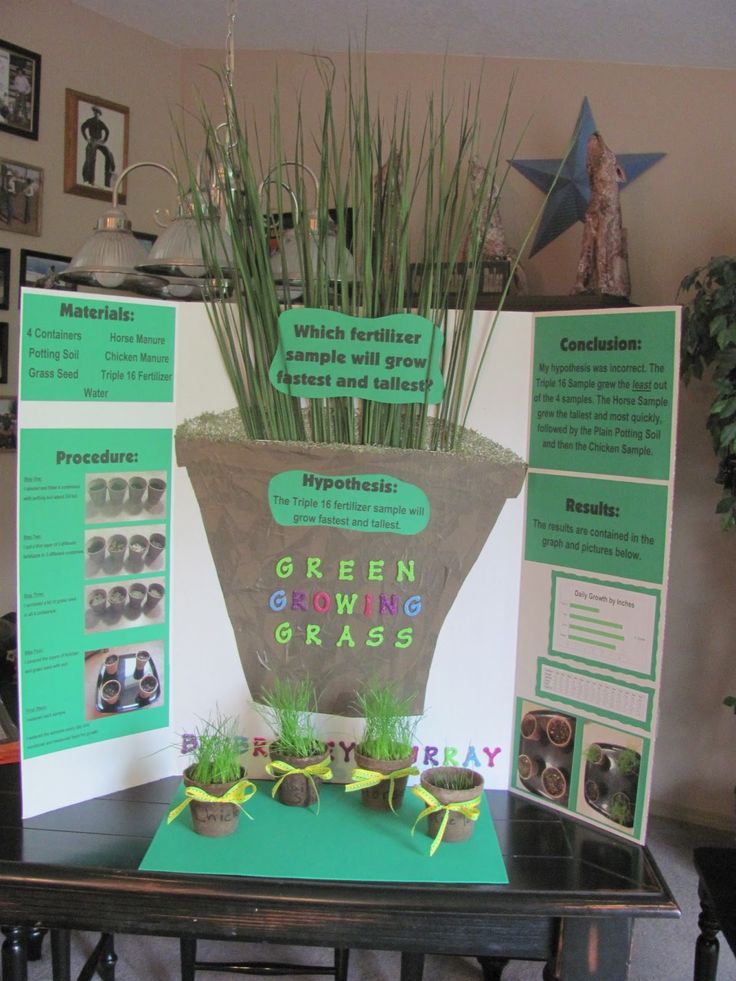 there is a display with plants in the center and information about growing grass on the other side