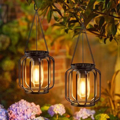 two lanterns hanging from a tree with flowers in the background and one lantern lit up