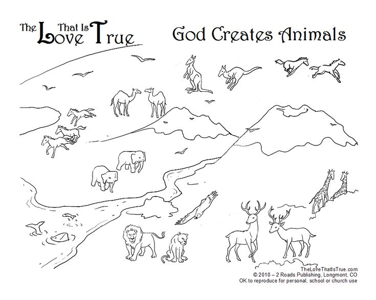 an animal coloring page with the words, god creates animals in black ink on white paper