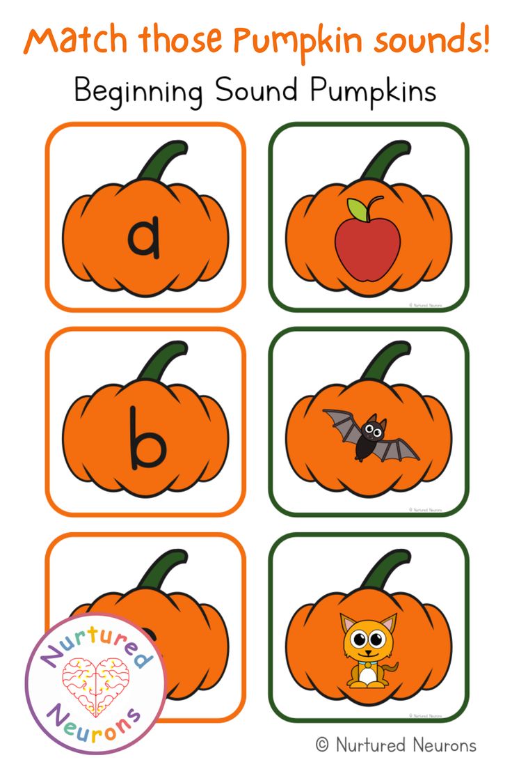 a pumpkin themed matching game with the letter b