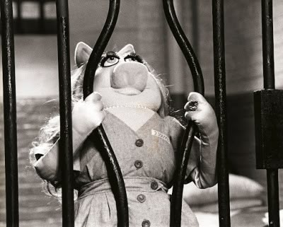 a stuffed animal in a trench coat behind bars