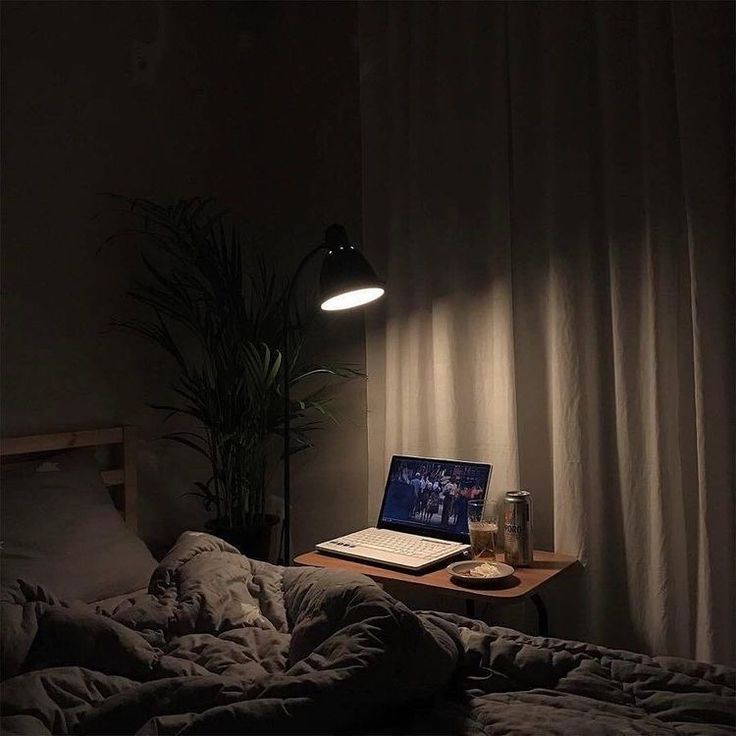 a laptop computer sitting on top of a bed next to a plant in a dark room