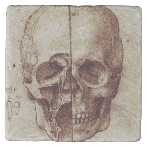 a book cover with an image of a human skull and the words leonador da vinci anatomist