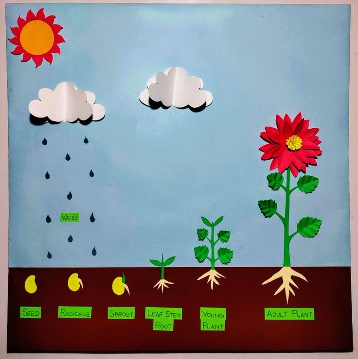 an art project with paper cut outs and pictures of plants, flowers, and raindrops