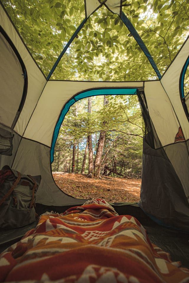 the inside of a tent with trees in the background and a blanket on the ground