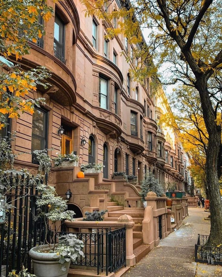 a row of brownstone townhouses in the fall