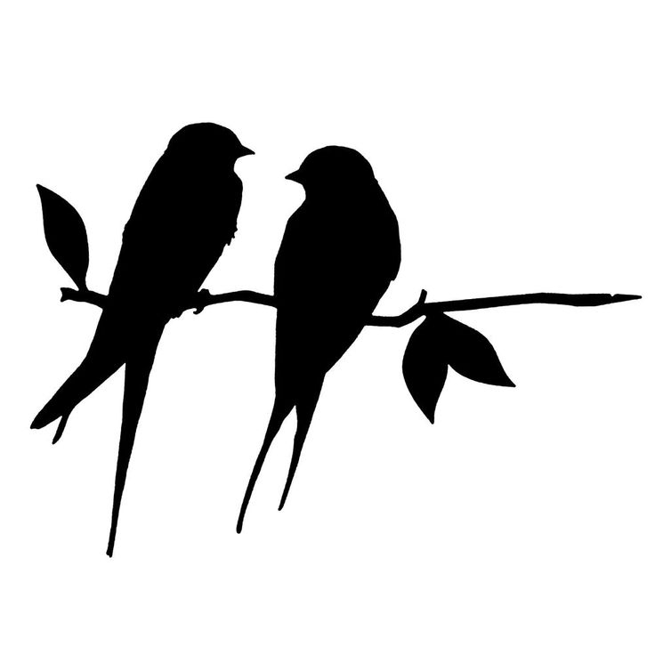 two birds sitting on top of a tree branch with leaves silhouetted against the sky