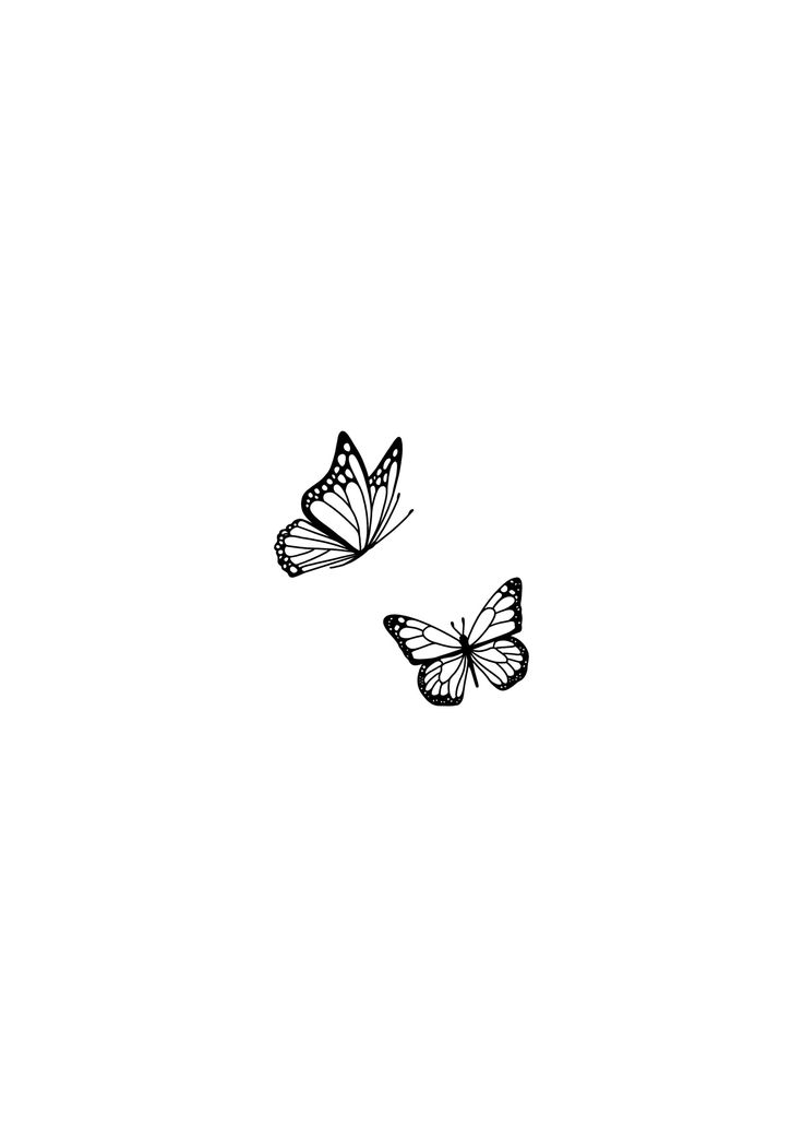 two butterflies flying side by side in the sky