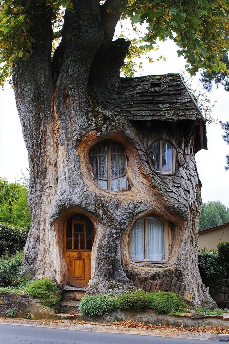 an unusual tree house built into the side of a tree