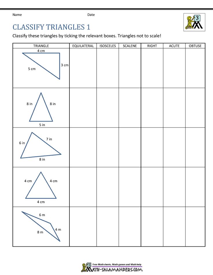 Math Salamanders Worksheets 5th