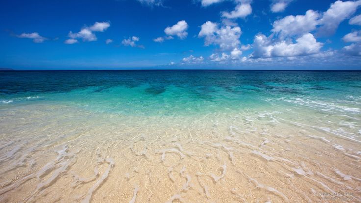 the beach is clean and clear for us to see