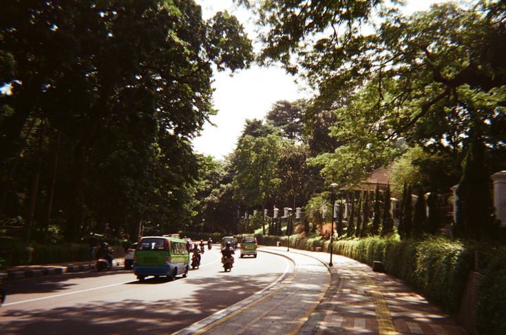 a group of motorcyclists riding down the road in front of some trees