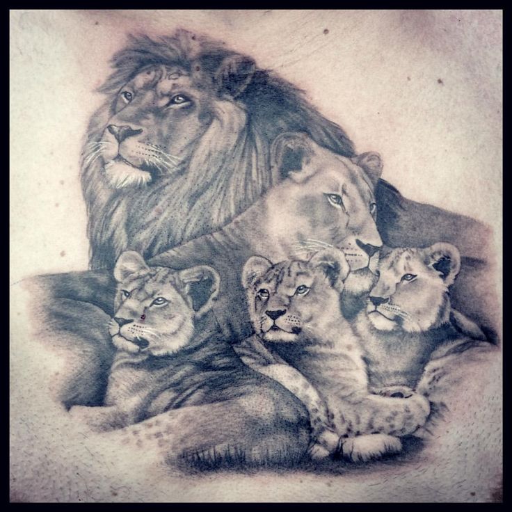 a drawing of lions with their cubs on the back of a man's chest