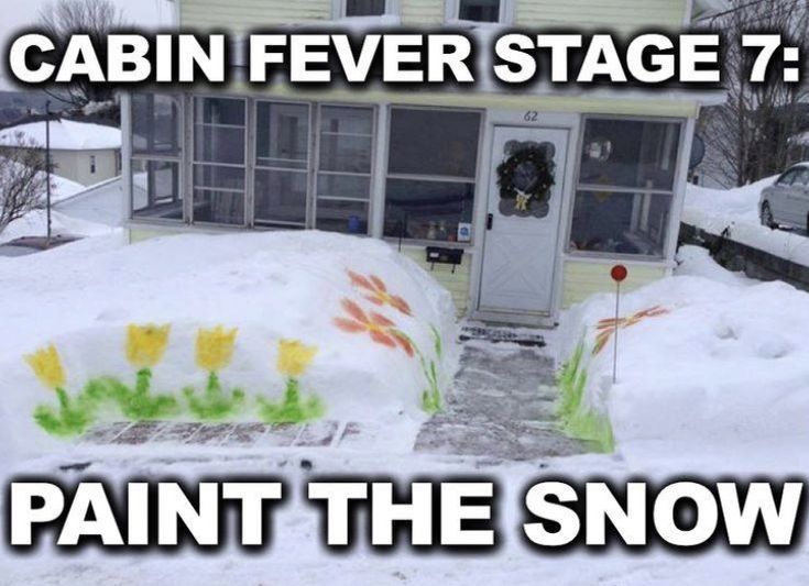 a house covered in snow with the caption cabin fever stage 7 paint the snow