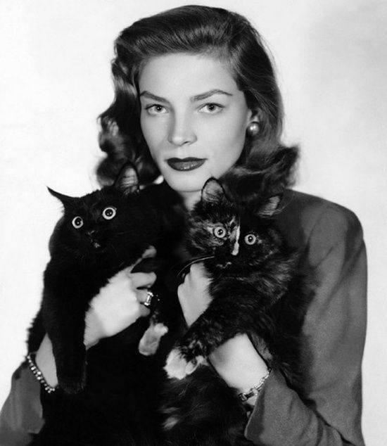 a woman holding two black cats in her hands