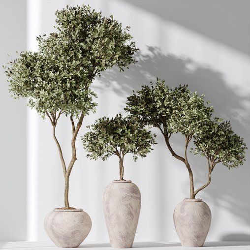 three vases with trees in them on a shelf