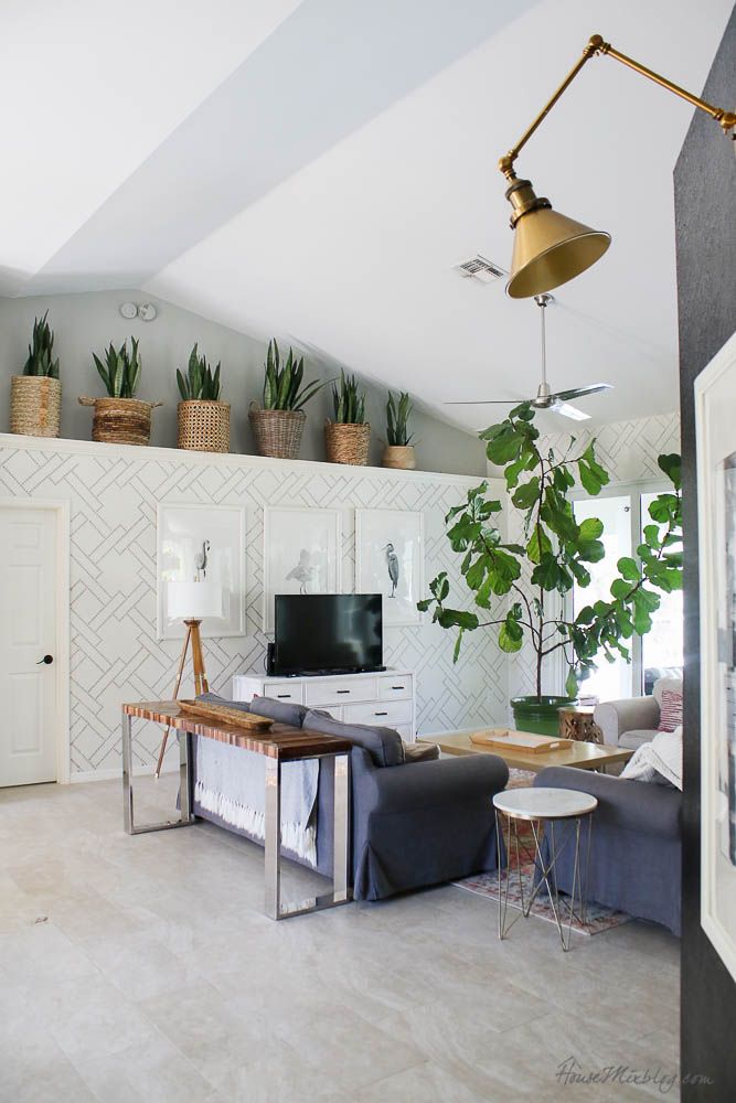 a living room filled with furniture and potted plants