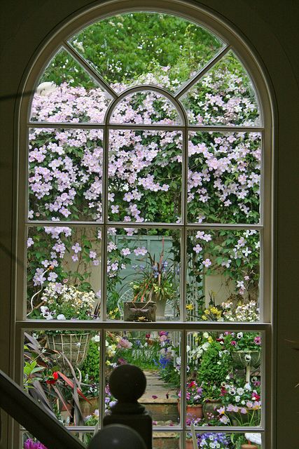 an open window with flowers on the outside and stairs leading up to it's entrance