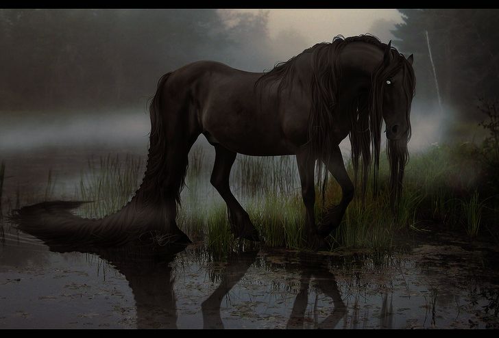 a horse is standing in the water by itself