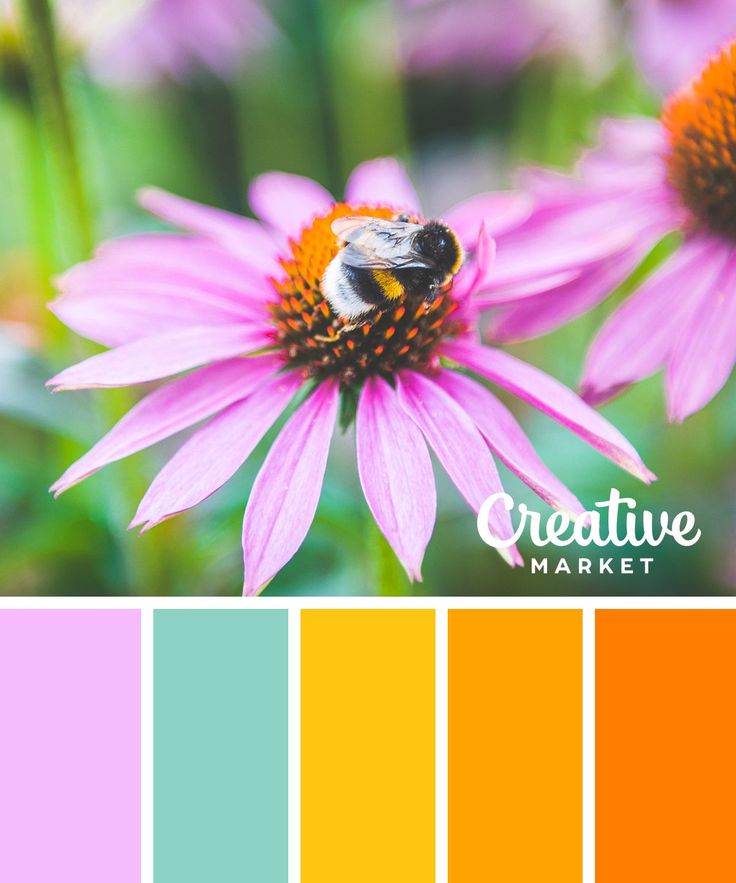 the color scheme is pink, orange and yellow with a bee on top of it