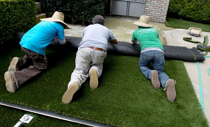 three men laying on top of a lush green field