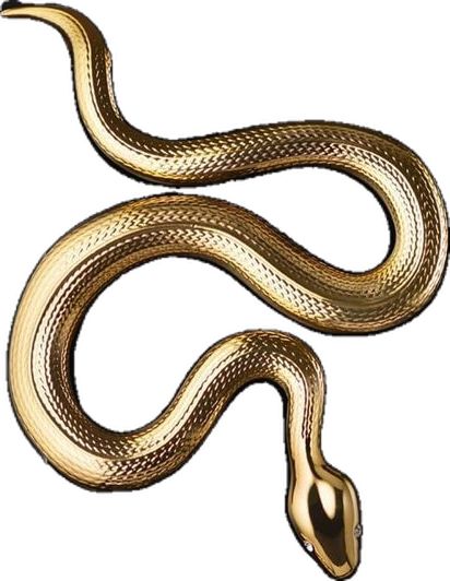 a gold colored snake on a white background