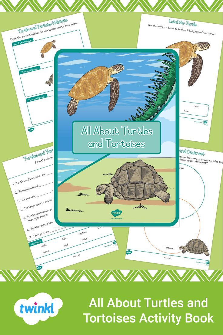 all about turtles and tortoises activity book for kids to learn how to read