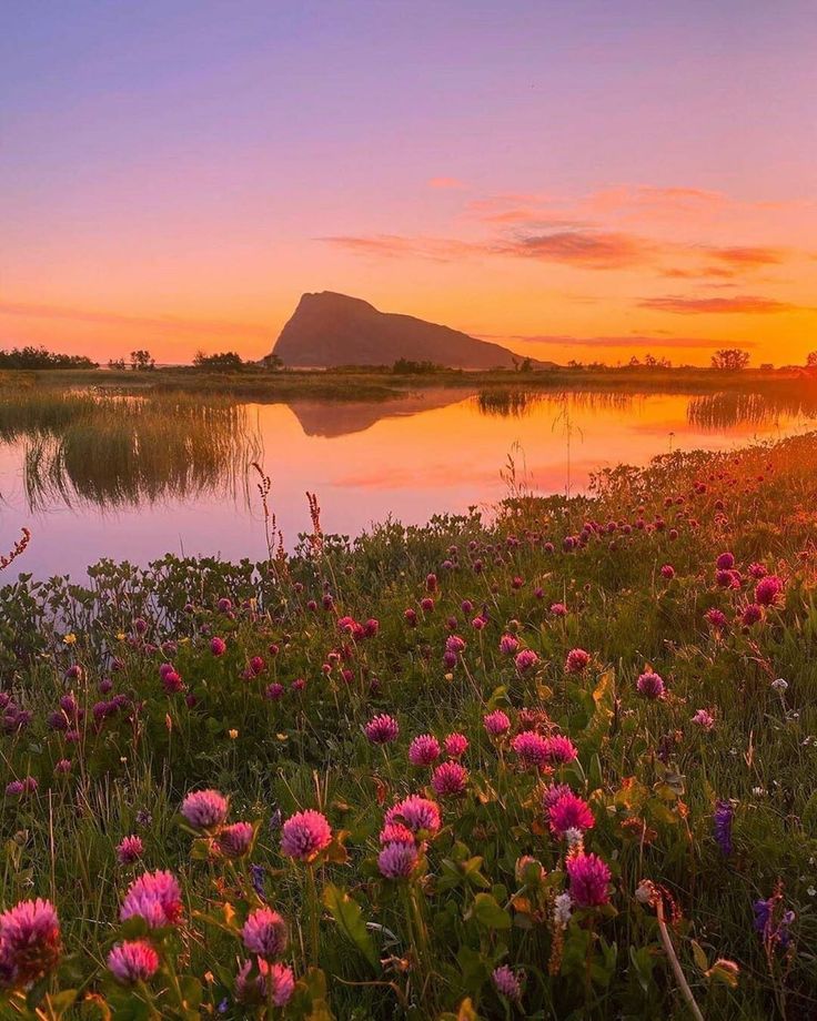 the sun is setting over a lake with wildflowers in bloom and mountains in the background