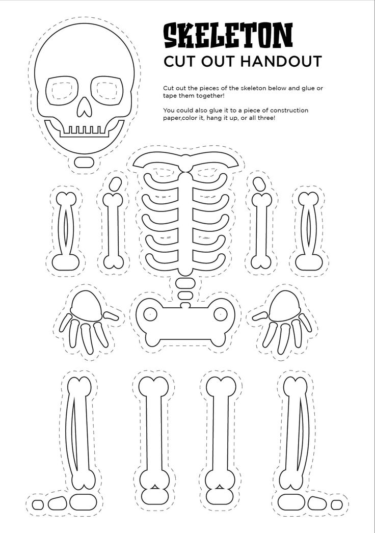 the skeleton cut out is shown in black and white with an outline for each piece