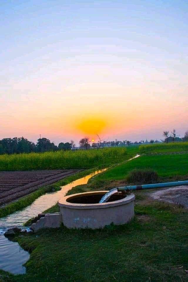 the sun is setting over an open field with a small stream running between two rows of crops