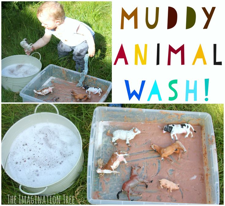 the muddy animal wash is an easy and fun activity for toddlers