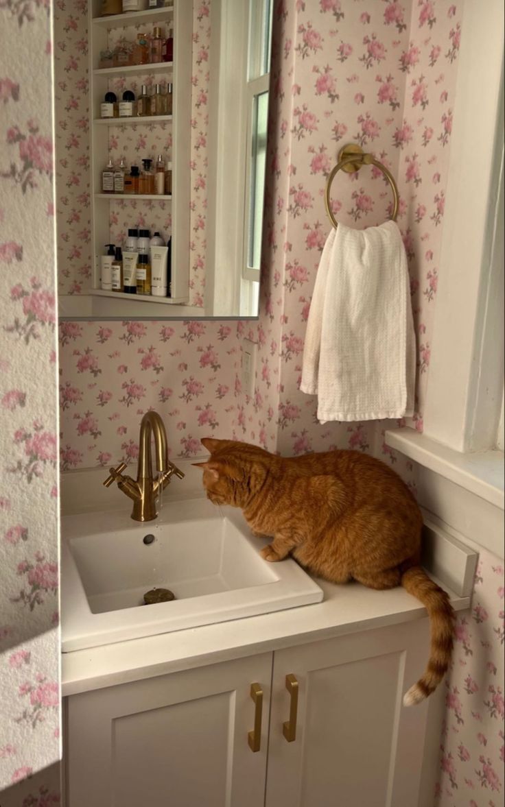 an orange cat sitting on top of a bathroom sink next to a mirror and towel rack