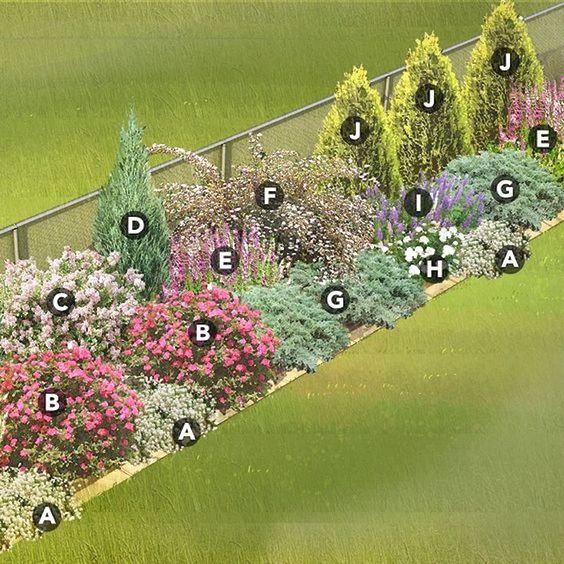 a garden plot with different types of flowers and plants in the same area on each side