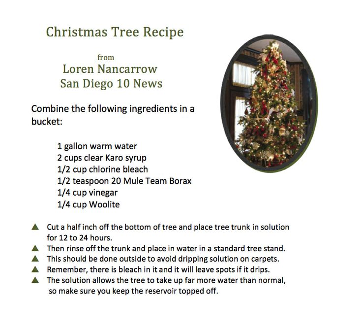 a christmas tree recipe with information about it