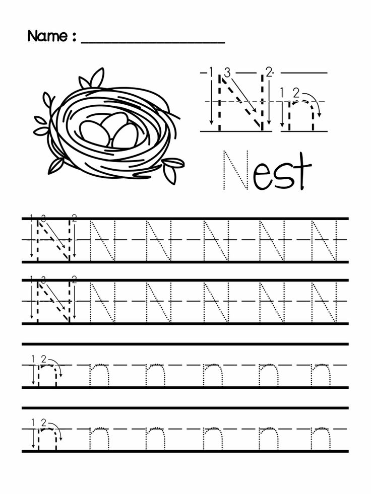 the letter n is for nest worksheet