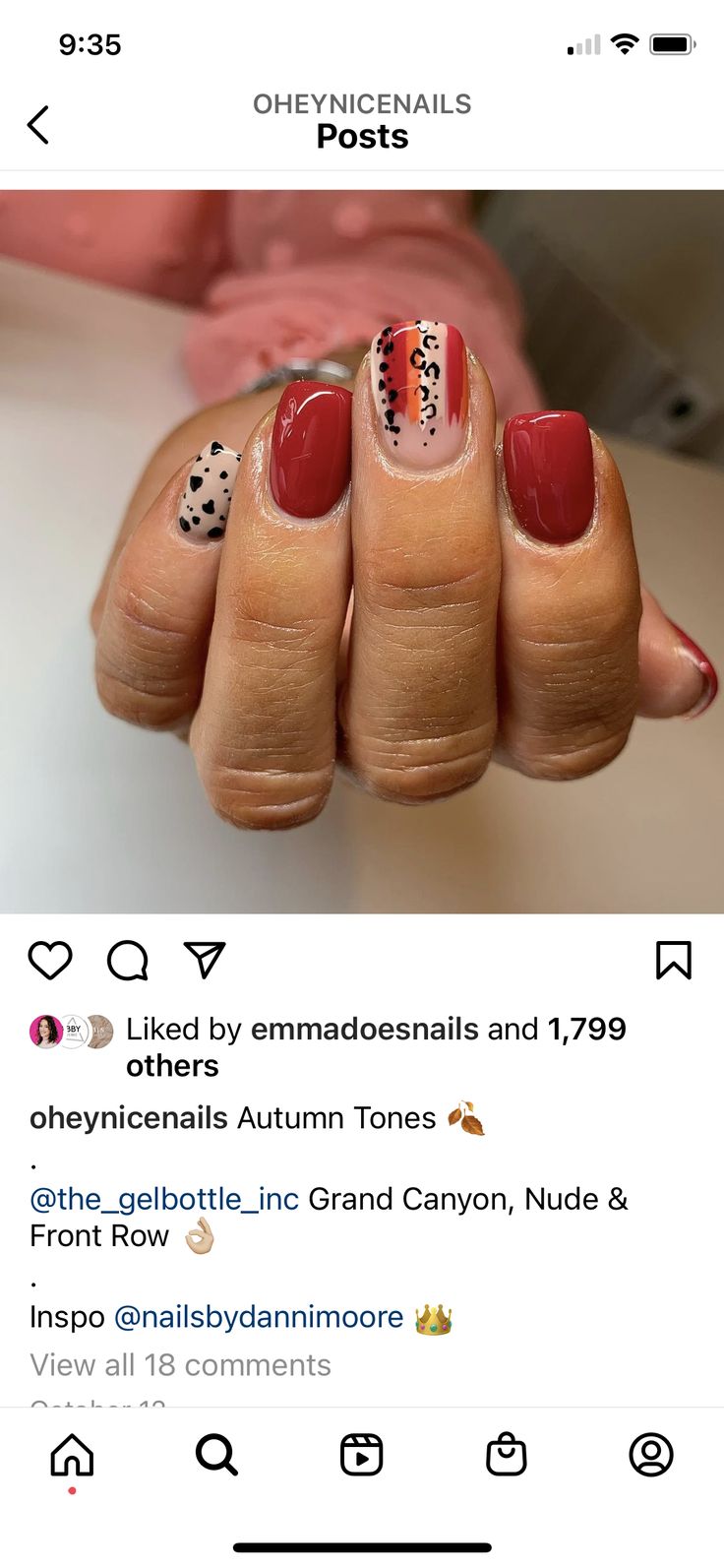 Fall Nashville Nails, Gel Tap Nails, Edgy Short Nail Designs, Nashville Nails Ideas Fall, Cute Western Fall Nails, Dipped Nails Fall, Fall 22 Nails, Fall Nail Art Short Nails, Fall Animal Print Nails