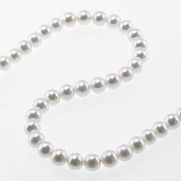 a single strand of white pearls on a white background