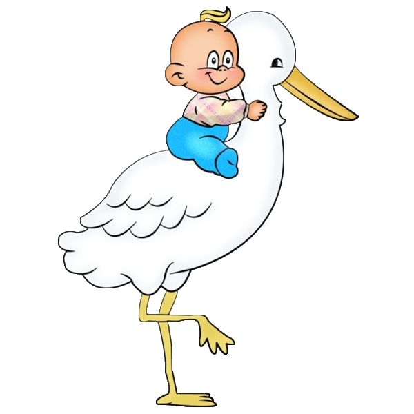 a stork holding a baby in its beak and wearing a blue diaper