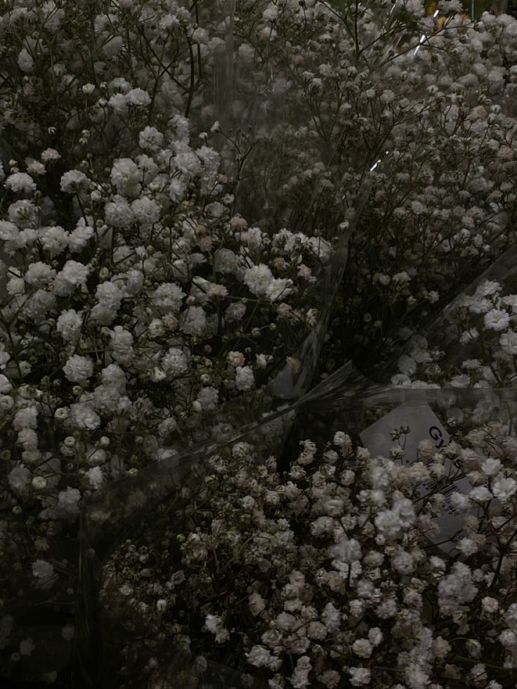 white flowers are in the middle of an arrangement on display at a flower shop,