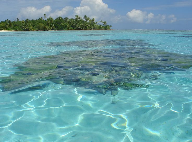 the water is crystal clear and blue with some corals in it's foreground