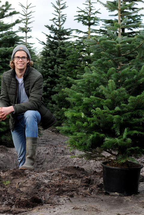 a man sitting on top of a pile of trees