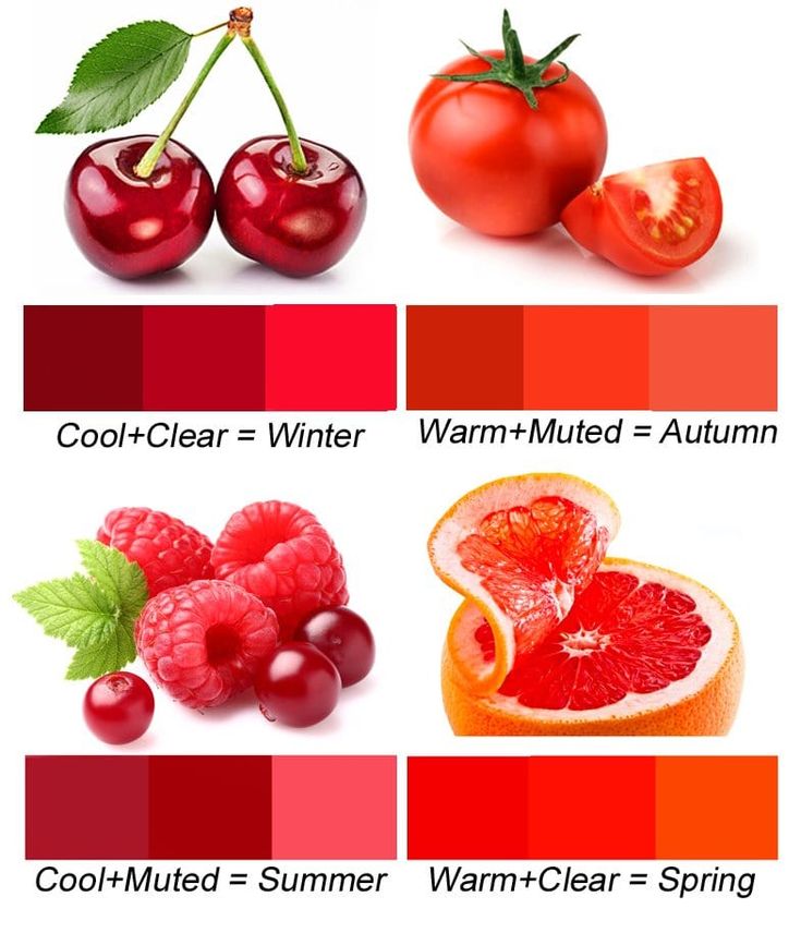 the different fruits and vegetables are labeled in this graphic diagram, which includes cherries, oranges, watermelon, warm - tinted = winter = autumn =