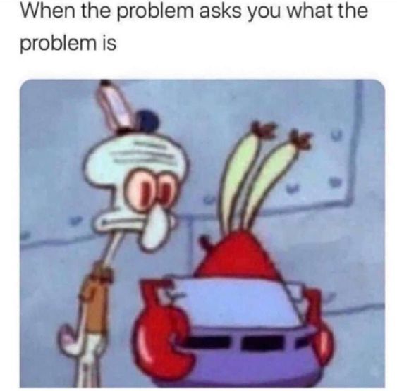 an image of a cartoon character with the caption saying, when the problem asks you what the problem is