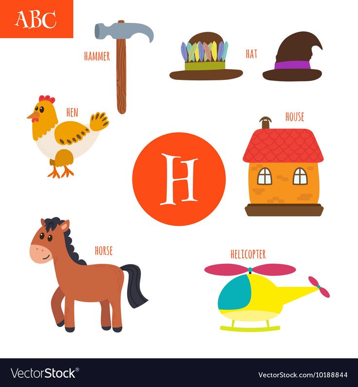 a set of different types of animals and letters