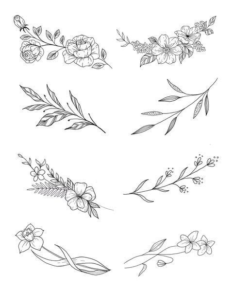 flowers and leaves are drawn in black ink on a white background, each with different designs